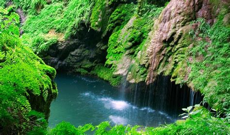 Image result for Spring-Fed Pool