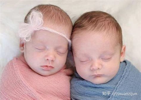 备孕期，掌握怀双胞胎的3大“秘诀”，或许助你轻松“一箭双雕 - 知乎