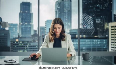 Business Woman On Computer 的图像结果