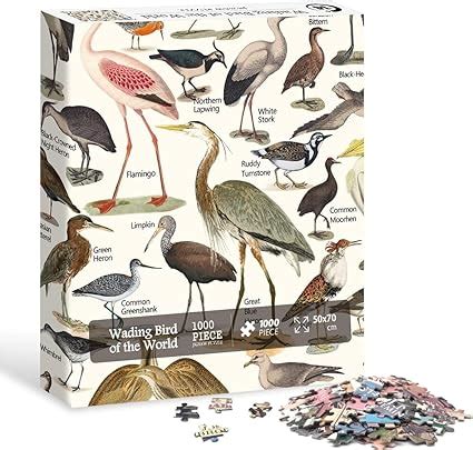 Amazon.com: Vintage Birds Puzzles for Adults 1000 Pieces and up ...