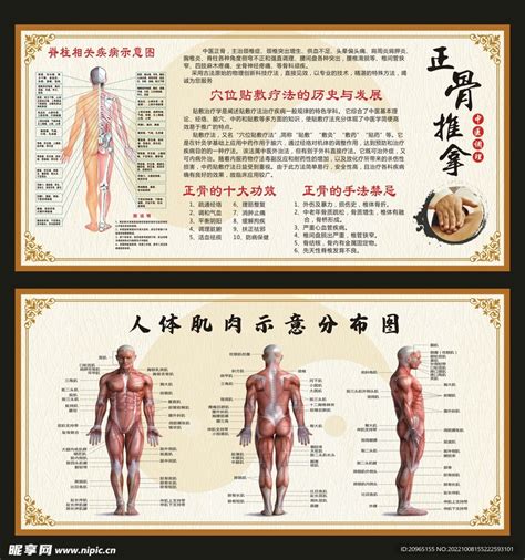 广州中医针灸培训班，正骨推拿培训，产后骨盆修复培训常年开班 - 百格活动