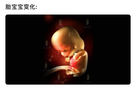 B超看得清清楚楚的，胎儿一直在不停地动（第二胎怀孕11周）_怀孕妈妈_论坛_太平洋亲子网