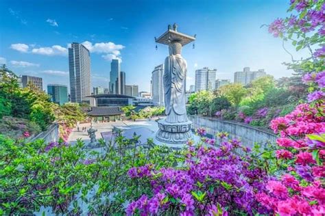28 Places To Visit In South Korea In 2026 For A Perfect Holiday