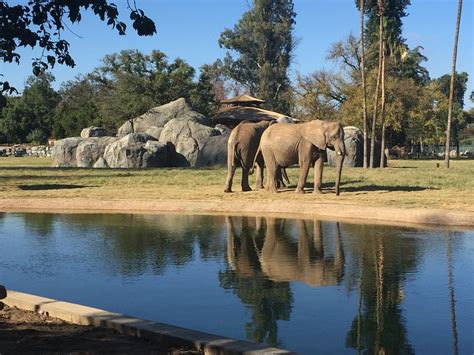 https://dynamic-media-cdn.tripadvisor.com/media/photo-o/0a/07/4f/52/fresno-chaffee-zoo.jpg?h=-1&s=1&w=800