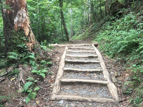 Image result for Log Ladder Machine