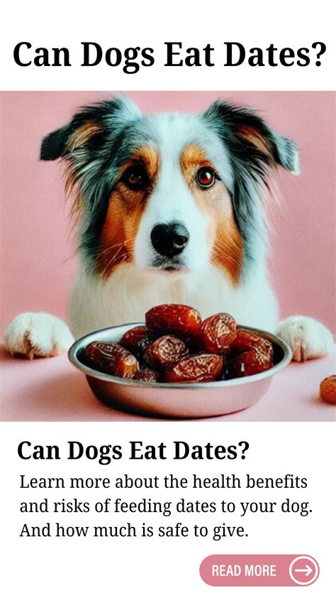 Can Dogs Eat Dates? A Comprehensive Guide for Pet Parents