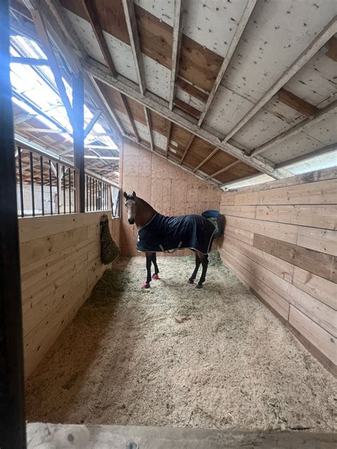 Boarding | Coastal Trails | Horse Boarding — Ocean View Stables
