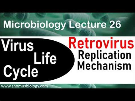 Retrovirus replication - virus life cycle Video Lecture - MCAT