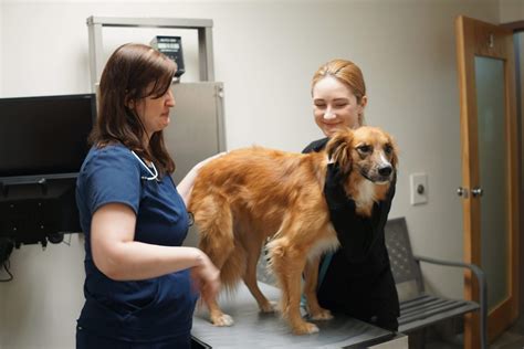 Kenilworth Animal Hospital