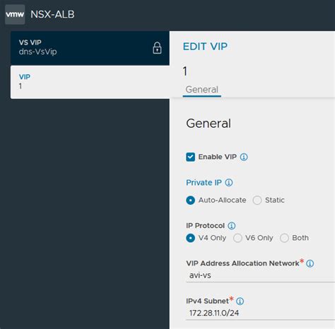 在 Oracle Cloud VMware Solution SDDC 的 NSX 進階負載平衡器上設定 DNS 虛擬服務