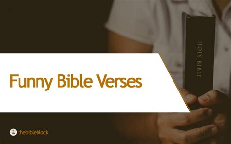 Rezultat imagine pentru Funny Scriptures