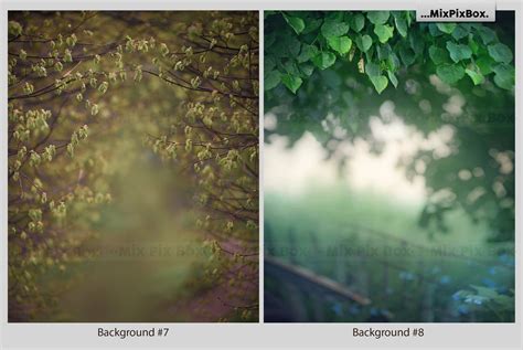 Image result for Spring Java Portrait