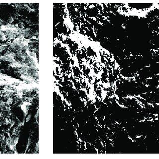 Microscope Image Processing 的图像结果