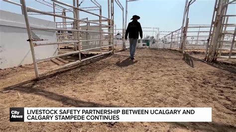 Owen Crow Shoe ready to be Calgary's Stampede Parade Marshal