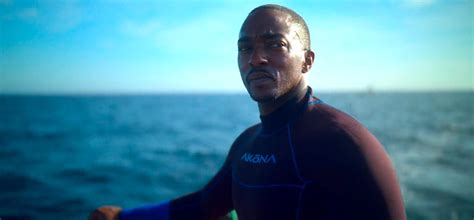 9 Best Shark Movies on Hulu Right Now