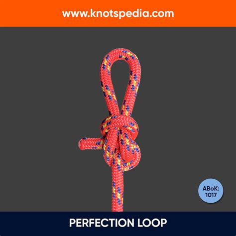 Image result for Loop to Loop Connection Knot