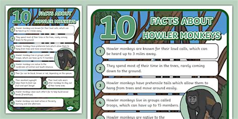 10 Facts About Howler Monkeys Poster (teacher made) - Twinkl