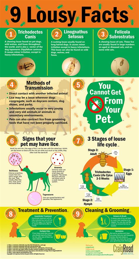 Lice In Dogs Uk at Steve Courtney blog