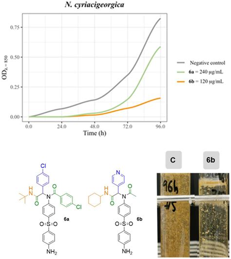 Efficient AntiMycolata Agents by Increasing the Lipophilicity of Known ...