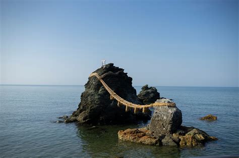 Image result for Color Splash Photography