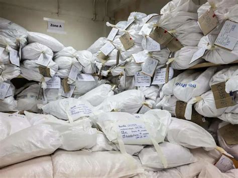 Narcotic drug seizure declines 22 pc to 1,087 tonnes in 2024