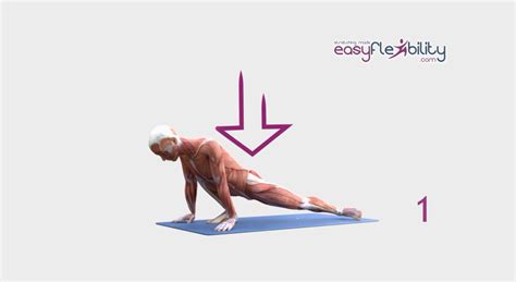 Image result for Frog Split Pose