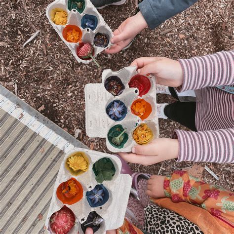 Field Trips - Coastal Roots Farm