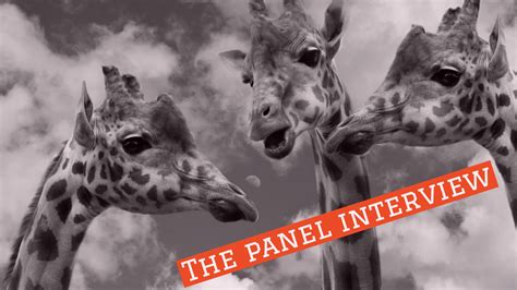 Bad Interview Panel 的图像结果