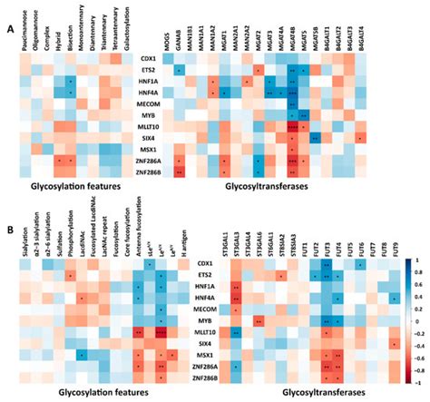 In-Depth Analysis of the N-Glycome of Colorectal Cancer Cell Lines