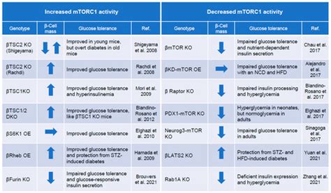 Biomolecules | Special Issue : The Pancreatic Beta Cell