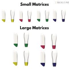 Bioclear Black Triangle kit - Matrix System for Anterior Black ...