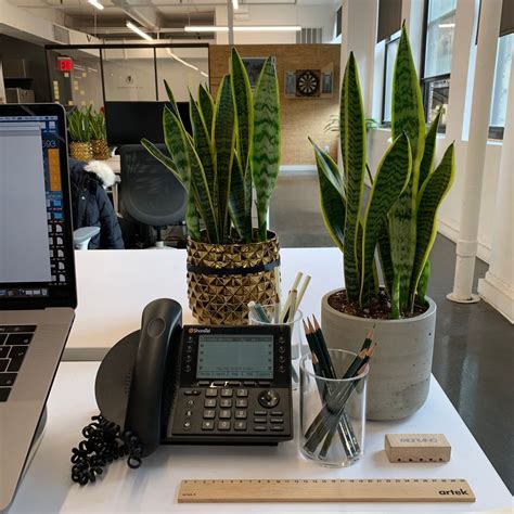 Sheridan&Co Office Photos