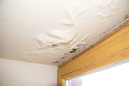 天花板发霉是楼上漏水吗-客厅天花板有霉点是怎么来的-趣丁网
