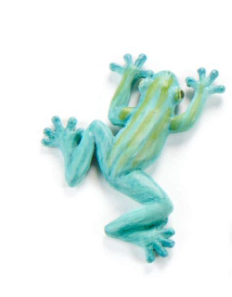 Frog Magnet - Discover Wild Birds, Find Joy!