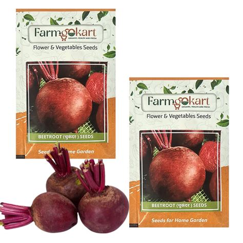 2 Packets | BEET ROOT (Chukander) SEEDS | DARK RED | 200 Seeds Per ...