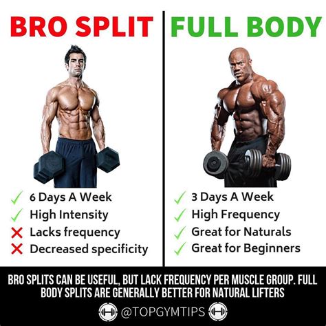 Is Full Body Workout Better Than Split For Muscle Gain - CARDIO WORKOUT ...