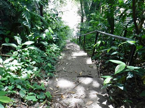 Guanacaste National Park - Belmopan, Cayo District
