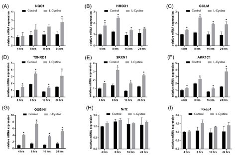 Fresh Medium or L-Cystine as an Effective Nrf2 Inducer for ...