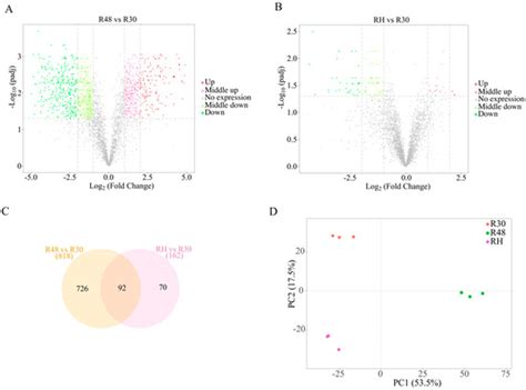 RNA-Seq-Based Comparative Transcriptome Analysis Highlights New ...