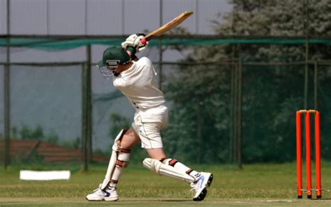 Cricket Tutorial 的图像结果