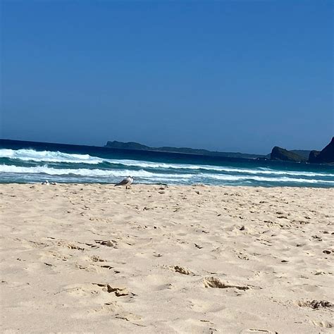 BLUEYS BEACH (2026) All You Need to Know BEFORE You Go (with Photos ...