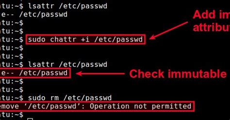 File Attributes Linux 的图像结果