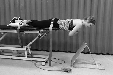 How to Muscle Test Lumbar Extensor Muscles 的图像结果