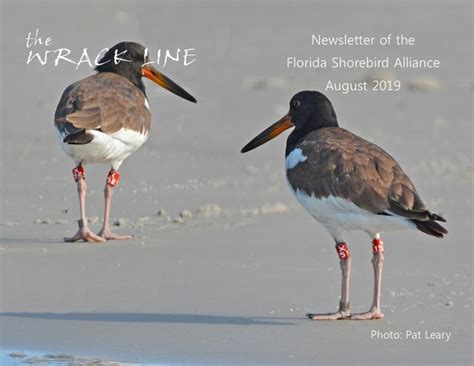 August 2019 Wrack Line Newsletter