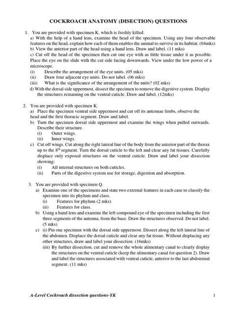 How to Dissect a Cockroach 的图像结果