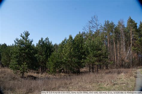 Обзор объектива Sony E F/3.5-5.6 18-135mm OSS | Радожива