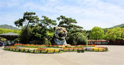 Seoul Zoo + Sky Lift Combo Ticket in Seoul | Pelago