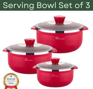 Dhyana Entrepreneur Stainless Steel, Plastic Serving Bowl Serving Bowl ...