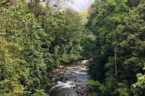 Sinharaja Tour Guide (Deniyaya) - All You Need to Know BEFORE You Go
