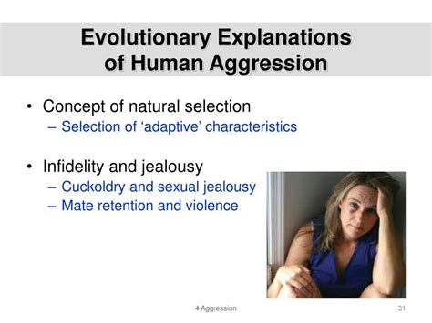 Image result for Evolution of Aggression